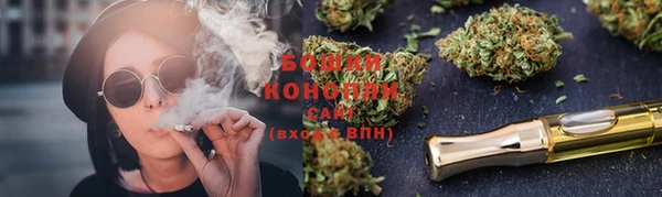 сатива Абаза