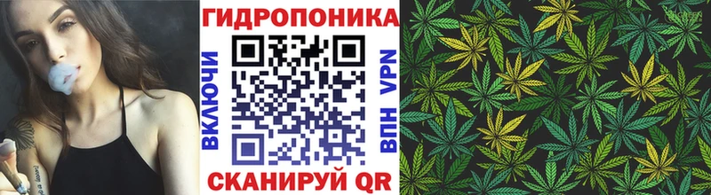 kraken вход  Новосиль  Бошки Шишки сатива  закладка 